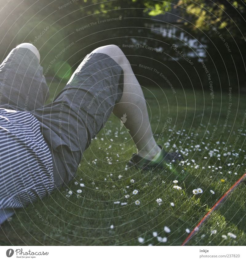 ...Feierabend! Erholung ruhig Freizeit & Hobby Mann Erwachsene Leben Beine Gras Gänseblümchen Rasen Garten Wiese Hemd Hose Shorts Clocks liegen grün Gefühle