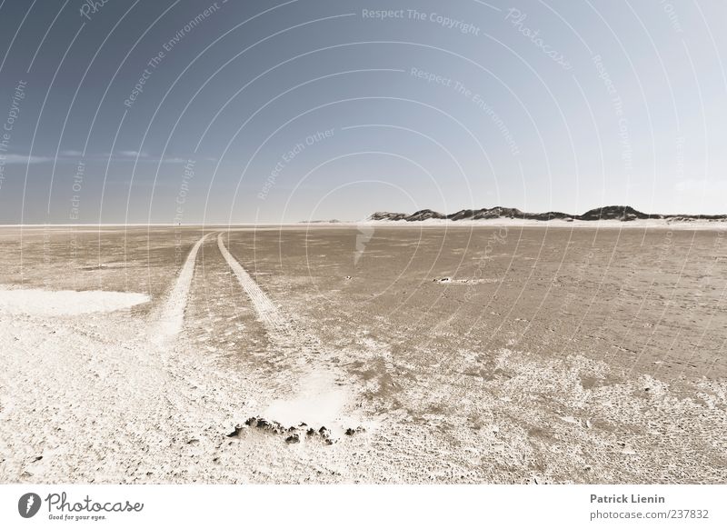 Spiekeroog | Abenteuer ruhig Ferne Strand Meer Insel Umwelt Natur Landschaft Sand Himmel Sonnenlicht Klima Wetter Schönes Wetter Küste Nordsee Unendlichkeit