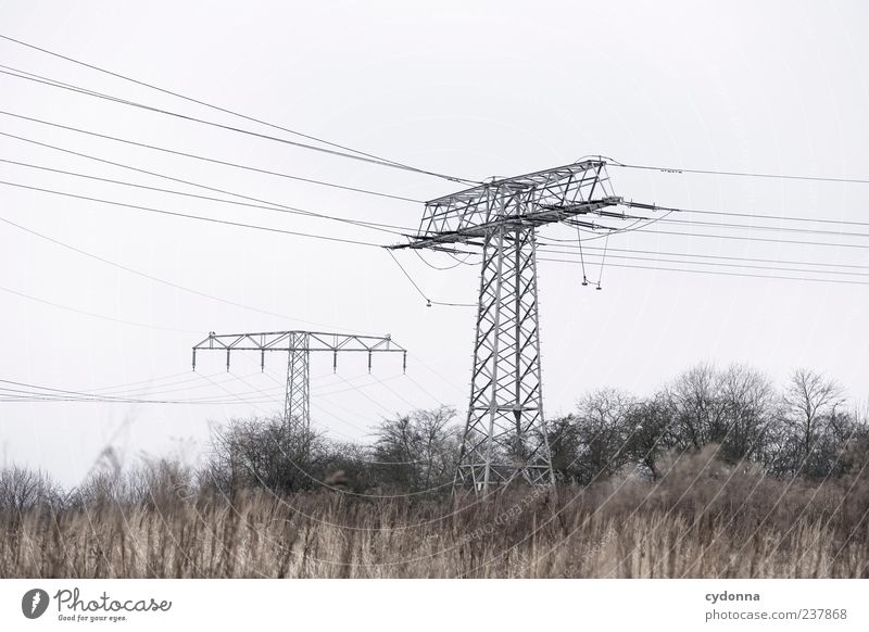 Strom Ausflug Ferne Freiheit Technik & Technologie Energiewirtschaft Umwelt Natur Landschaft Wolken Winter Baum Feld Einsamkeit Idylle innovativ Langeweile