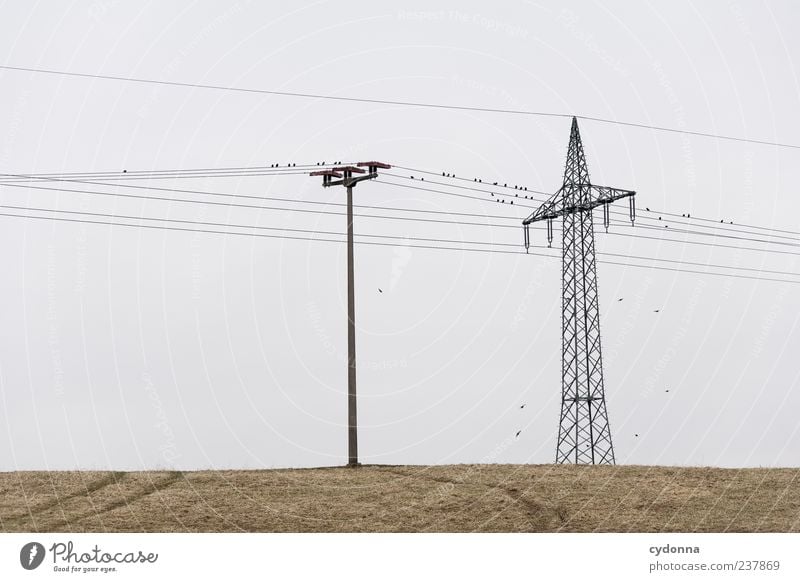 Strom I Technik & Technologie Fortschritt Zukunft Energiewirtschaft Umwelt Natur Landschaft Himmel Gras Wiese Feld ästhetisch Einsamkeit Endzeitstimmung