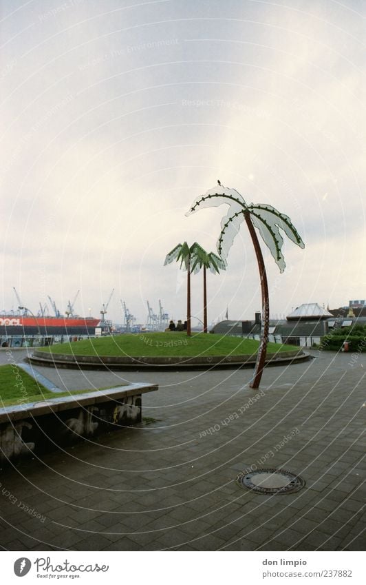 park fiction exotisch Ferien & Urlaub & Reisen Kunst Kunstwerk schlechtes Wetter Palme Park Hügel St. Pauli Antonipark Hamburg Hafenstadt Beton Stahl