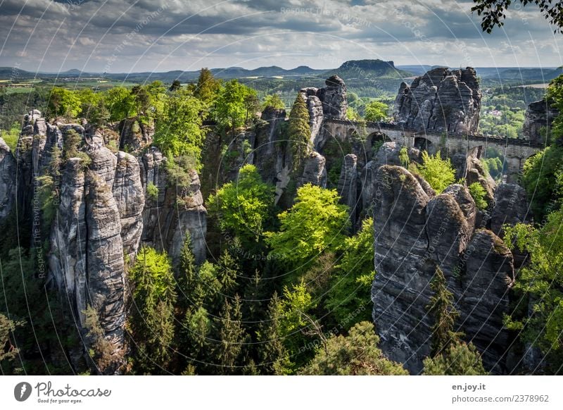 Ausflug Ferien & Urlaub & Reisen Tourismus Abenteuer Ferne Sommer Sommerurlaub wandern Natur Landschaft Wald Hügel Felsen Elbsandsteingebirge Deutschland