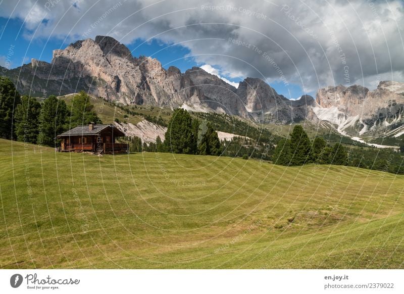 Heidi? Ferien & Urlaub & Reisen Ausflug Abenteuer Sommer Sommerurlaub Berge u. Gebirge wandern Natur Landschaft Wolken Wiese Hügel Felsen Alpen Dolomiten Gipfel