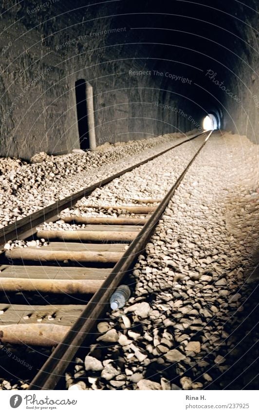 Am Ende ist Licht Tunnel Verkehr Bahnfahren Schienenverkehr Gleise Ferien & Urlaub & Reisen authentisch Hoffnung Ausweg Gedeckte Farben Schatten Sonnenlicht