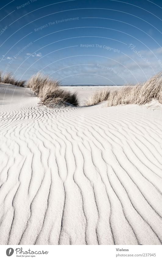 Spiekeroog | ...dunewaves Natur Landschaft Himmel Küste Strand Nordsee Sand Erholung Dünengras Strukturen & Formen Ferien & Urlaub & Reisen Farbfoto