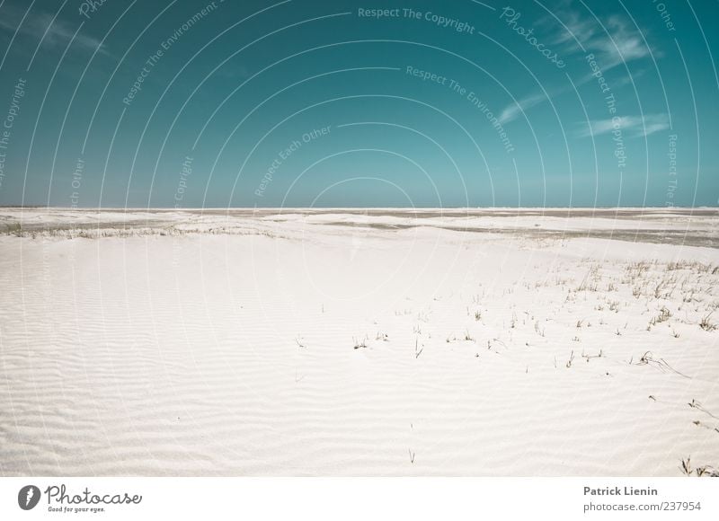 Spiekeroog | free falling Zufriedenheit ruhig Ferne Strand Meer Insel Umwelt Natur Landschaft Sand Himmel Klima Wetter Schönes Wetter Küste Nordsee