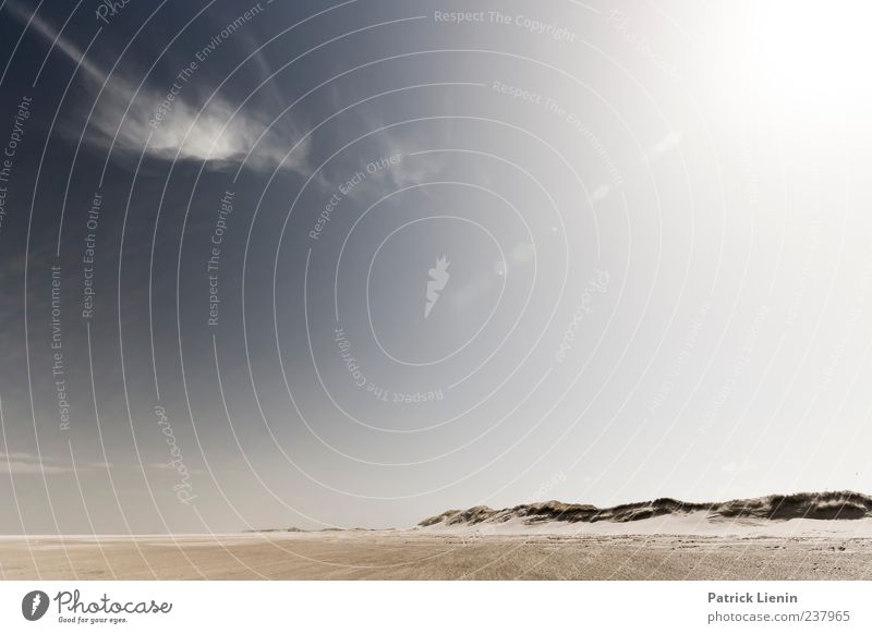 Spiekeroog | blendende Aussichten Zufriedenheit ruhig Ferne Strand Meer Insel Umwelt Natur Landschaft Sand Himmel Klima Wetter Schönes Wetter Küste Nordsee