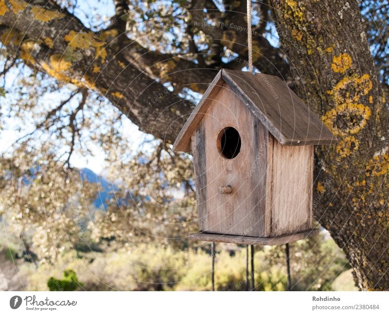 Vogelwohnung Wohnung Haus Garten Holz braun gelb Futterhäuschen Baumhaus Nistkasten Nisthöhle Traumhaus Eiche flattern Seil Farbfoto Außenaufnahme Menschenleer