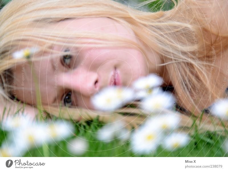 liegen schön Mensch feminin Junge Frau Jugendliche Haare & Frisuren Gesicht 1 18-30 Jahre Erwachsene Natur Frühling Blume Gras Blüte Wiese blond langhaarig