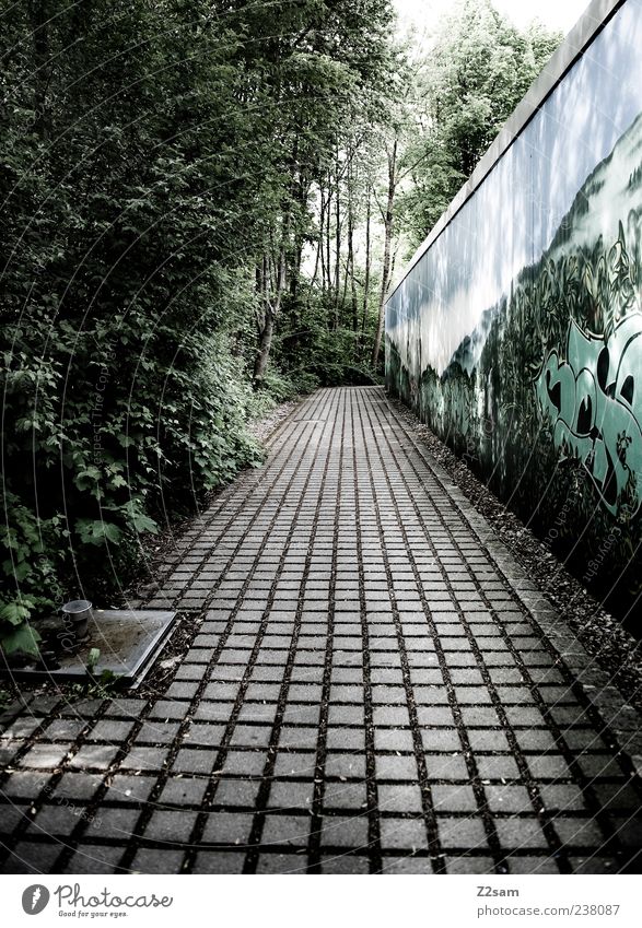 schulweg Verkehrswege dreckig dunkel gruselig kalt trashig trist Einsamkeit Ordnung Perspektive ruhig Symmetrie Umwelt Verfall Vergänglichkeit Wege & Pfade Ziel