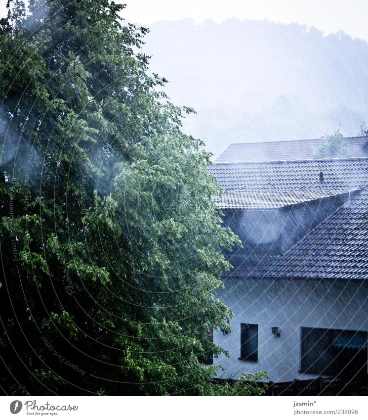 Regentage Haus Umwelt Wasser Dorf kalt nass Tag Landschaft Natur Baum Baumkrone Wetter Regenwasser Gebäude Einfamilienhaus Dach