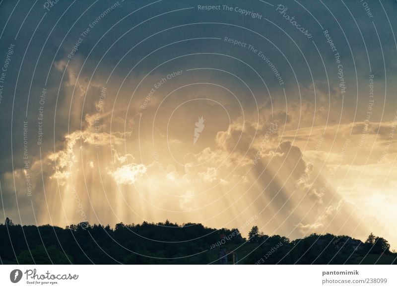 Sonne im Schatten Landschaft Wolken Gewitterwolken Sonnenlicht Wetter Unwetter Wald blau gelb gold Farbfoto Außenaufnahme Experiment Morgendämmerung