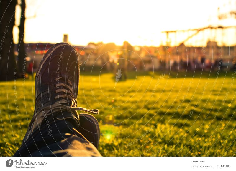 Abendsonne Freude Glück harmonisch Wohlgefühl Zufriedenheit Erholung Freizeit & Hobby Sommer Sonne Sonnenbad Mensch maskulin Mann Erwachsene Beine Fuß 1