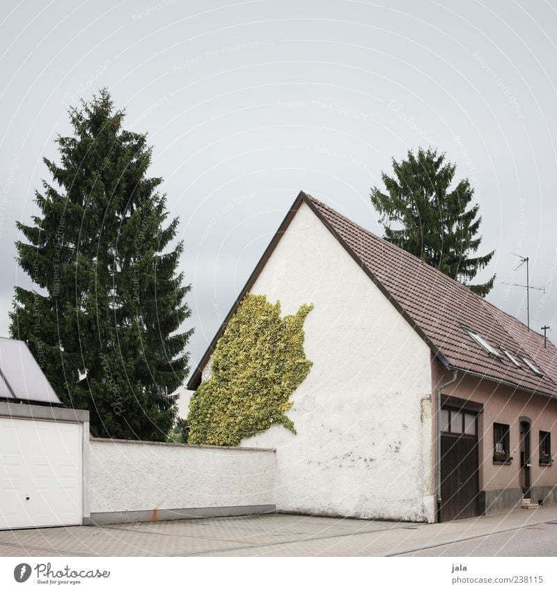 parkplatz Himmel Pflanze Baum Efeu Grünpflanze Tanne Haus Platz Bauwerk Gebäude Architektur Mauer Wand Fassade Tür Dach Straße Bürgersteig Parkplatz trist