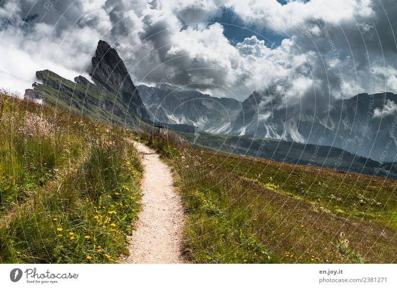 dieser Weg Ferien & Urlaub & Reisen Tourismus Ausflug Abenteuer Ferne Freiheit Sommer Sommerurlaub Berge u. Gebirge wandern Natur Landschaft Himmel Wolken