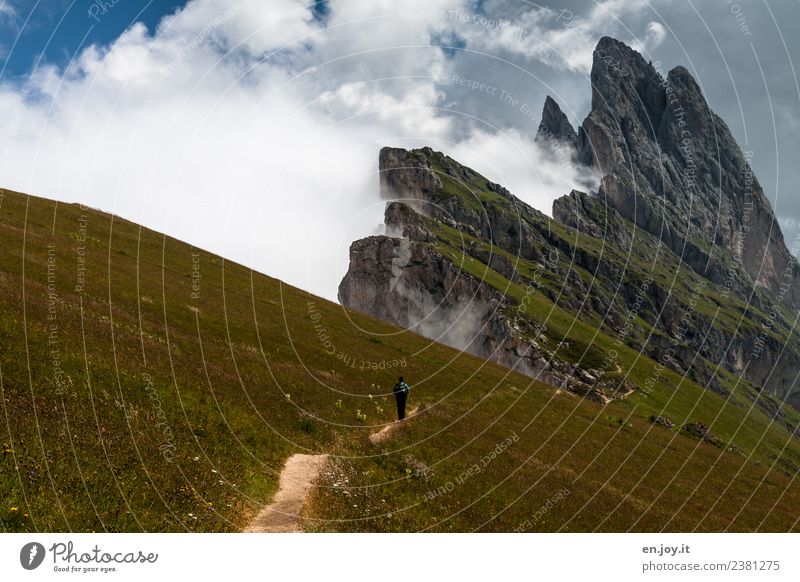 auf der Sonnenseite Ferien & Urlaub & Reisen Tourismus Ausflug Abenteuer Ferne Freiheit Sommer Sommerurlaub Berge u. Gebirge wandern Mann Erwachsene 1 Mensch