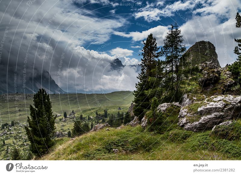 Wanderparadies Ferien & Urlaub & Reisen Ausflug Abenteuer Ferne Freiheit Sommer Sommerurlaub Berge u. Gebirge wandern Natur Landschaft Pflanze Himmel Wolken