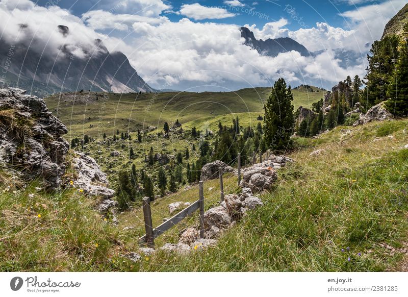 Idylle Ferien & Urlaub & Reisen Ausflug Abenteuer Ferne Freiheit Sommer Sommerurlaub Berge u. Gebirge wandern Natur Landschaft Pflanze Himmel Gewitterwolken