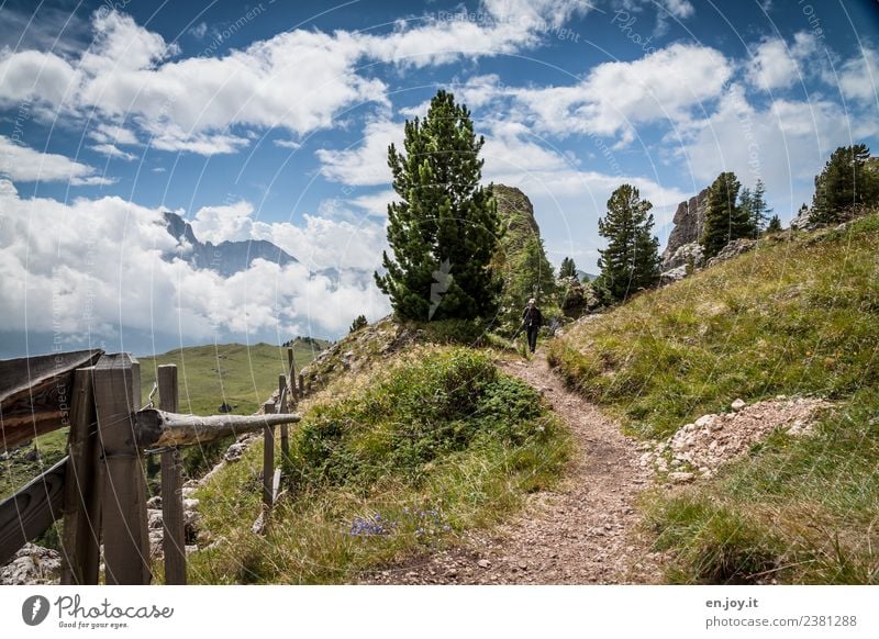 erholsam Leben Wohlgefühl Ferien & Urlaub & Reisen Tourismus Ausflug Abenteuer Ferne Freiheit Sommer Sommerurlaub Berge u. Gebirge wandern Mann Erwachsene 1