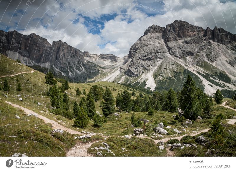 Entscheidung Ferien & Urlaub & Reisen Tourismus Ausflug Abenteuer Ferne Sommer Sommerurlaub Berge u. Gebirge wandern Natur Landschaft Gewitterwolken Nadelbaum