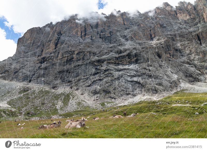 Ausruhen harmonisch Wohlgefühl Zufriedenheit Erholung ruhig Ferien & Urlaub & Reisen Tourismus Ausflug Abenteuer Berge u. Gebirge wandern Natur Landschaft