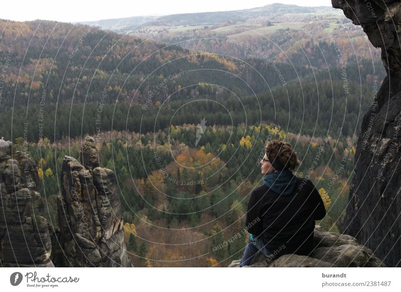 Herbstausblick sächsische Schweiz wandern maskulin Junger Mann Jugendliche Oberkörper Gesicht 1 Mensch 18-30 Jahre Erwachsene Umwelt Natur Landschaft Pflanze