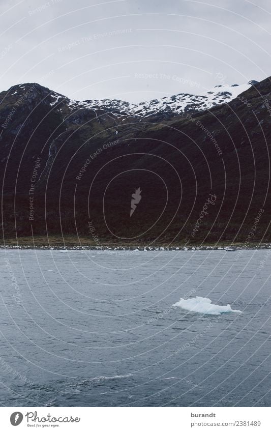 antarctic landscape IV Urelemente Wasser Berge u. Gebirge Südamerika Gipfel Schneebedeckte Gipfel Gletscher Wellen Küste Bucht Fjord Meer Schwimmen & Baden kalt