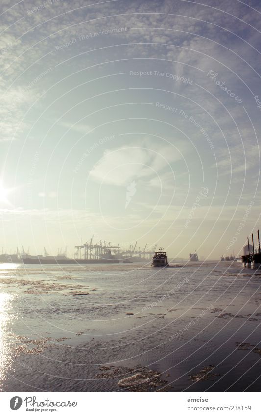 Unsere schöne Elbe Tourismus Ausflug Ferne Freiheit Städtereise Kreuzfahrt Meer Winter Wasser Himmel Sonnenlicht Flussufer Hamburg Stadt Hauptstadt Hafenstadt