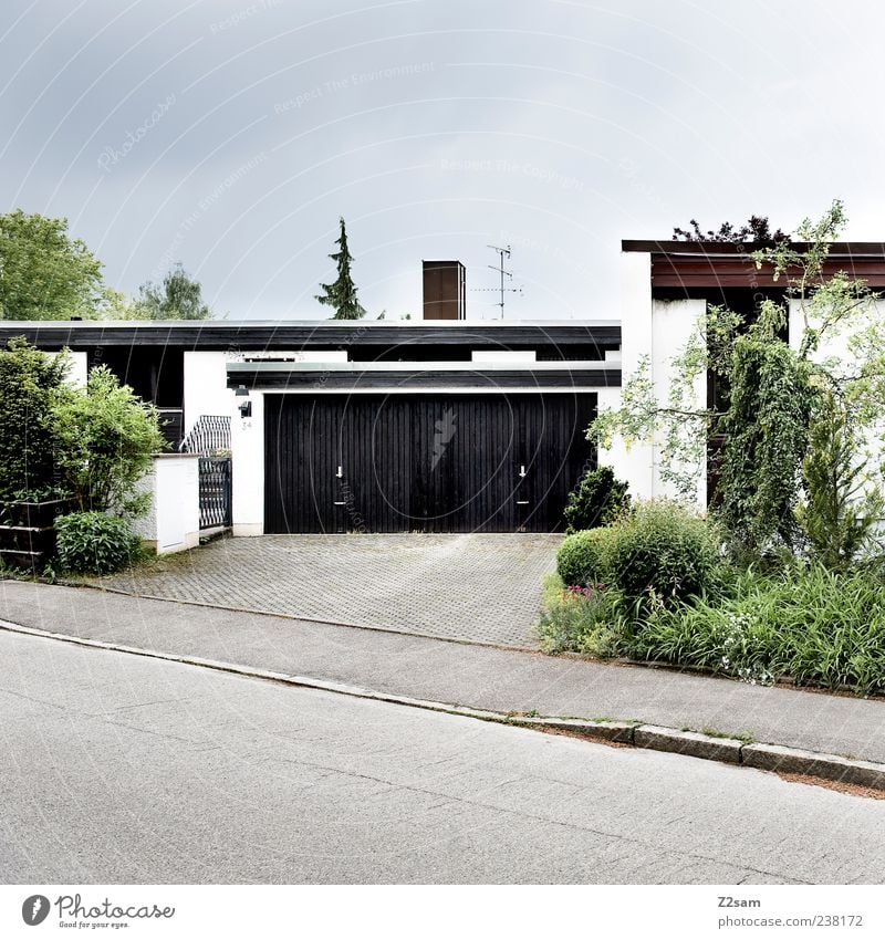 akkurat Stil Häusliches Leben Wohnung Haus Natur Pflanze Baum Gras Sträucher Dorf Bauwerk Architektur Verkehrswege authentisch dunkel eckig einfach trist