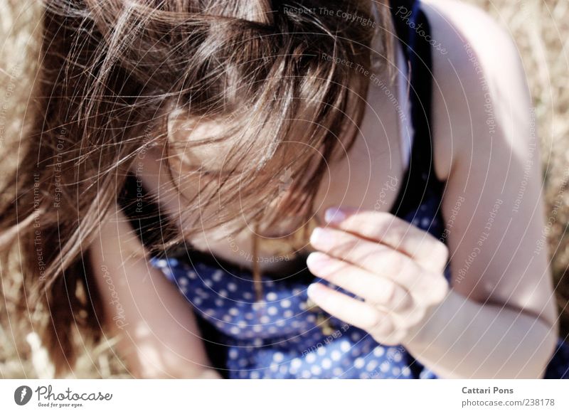 windig feminin Junge Frau Jugendliche Erwachsene 1 Mensch Kleid brünett langhaarig Bewegung nah dünn Wind sanft Hand Haarsträhne Farbfoto Außenaufnahme Tag