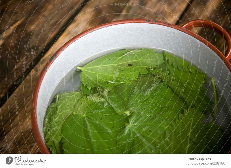 brennesseltee Lebensmittel Kräuter & Gewürze Heilpflanzen Getränk trinken Heißgetränk Tee Brennnessel Brennnesselblatt Gesundheit Pflanze Blüte Wildpflanze