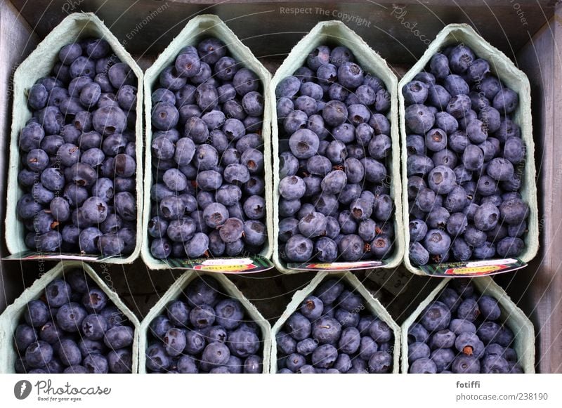 Das ist Amsterdam (Oder: Beerenbötchen) Ernährung blau Schalen & Schüsseln Reihe Geschmackssinn lecker Niederlande rund Karton süß Gedeckte Farben Außenaufnahme