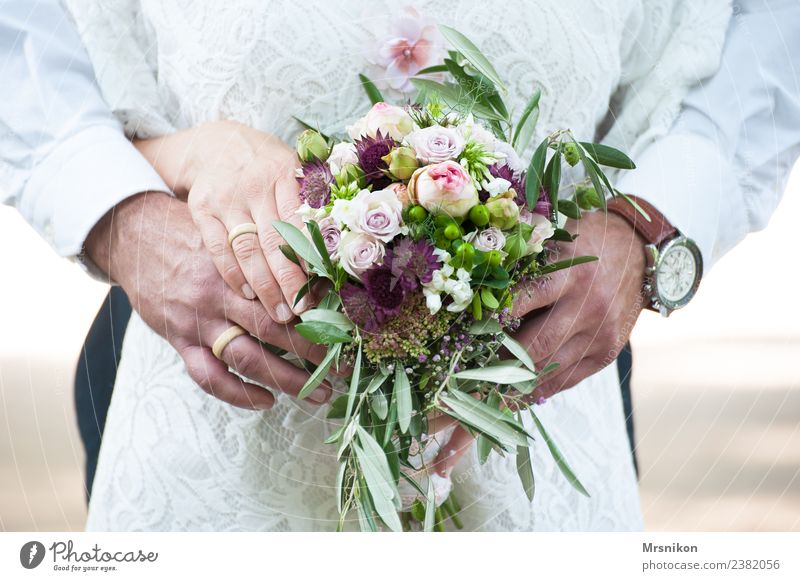 Hochzeit harmonisch Feste & Feiern Familie & Verwandtschaft Paar Partner Leben 2 Mensch 18-30 Jahre Jugendliche Erwachsene 30-45 Jahre ästhetisch Liebe