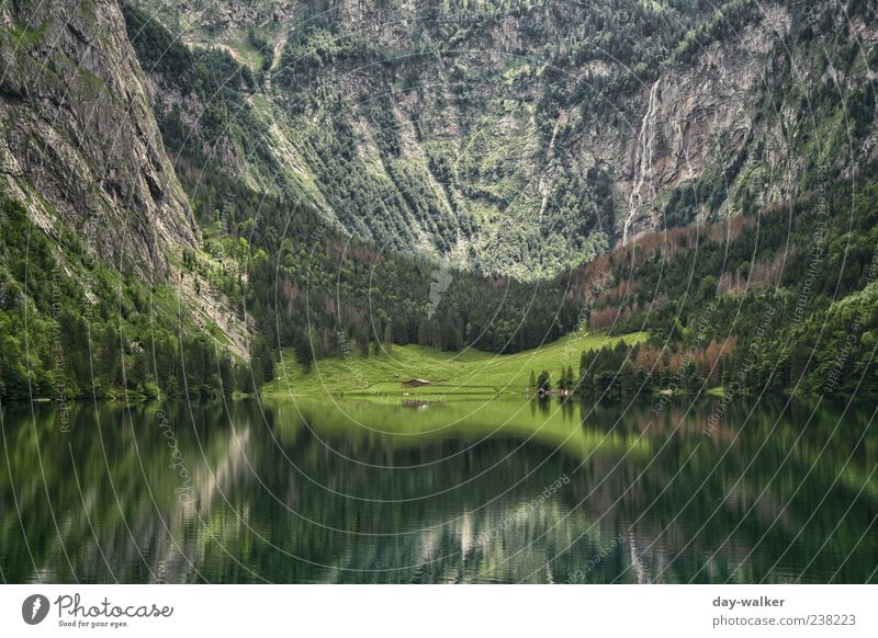 Spiegelwelt Königssee II Natur Landschaft Pflanze Wasser Sommer Schönes Wetter Baum Gras Hügel Felsen Alpen Berge u. Gebirge bedrohlich blau braun grün Felswand