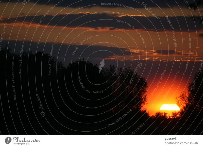 Ein Sonnenuntergang Umwelt Natur Landschaft Urelemente Luft Himmel Sonnenaufgang Sonnenlicht Schönes Wetter Pflanze Baum Feld ästhetisch Kitsch Farbfoto