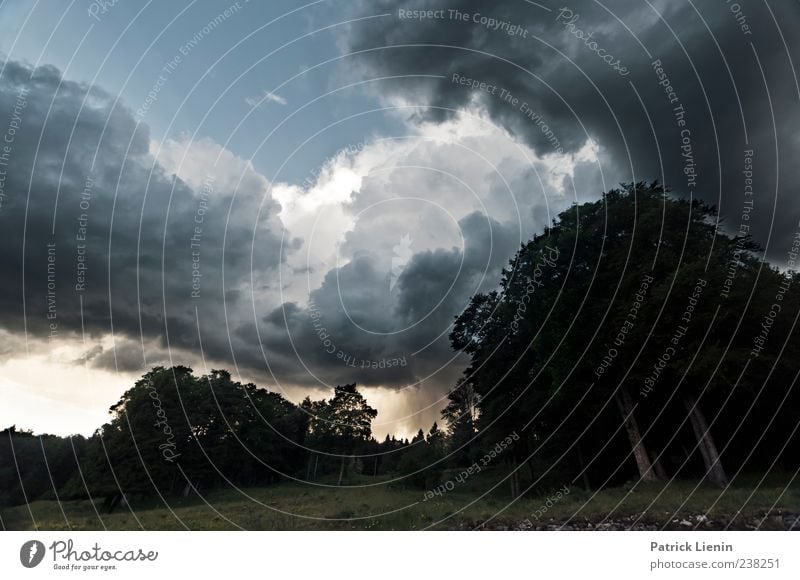 Donnerwetter wandern Umwelt Natur Landschaft Urelemente Luft Wasser Himmel Wolken Klima Klimawandel Wetter schlechtes Wetter Unwetter Wind Regen Gewitter Baum