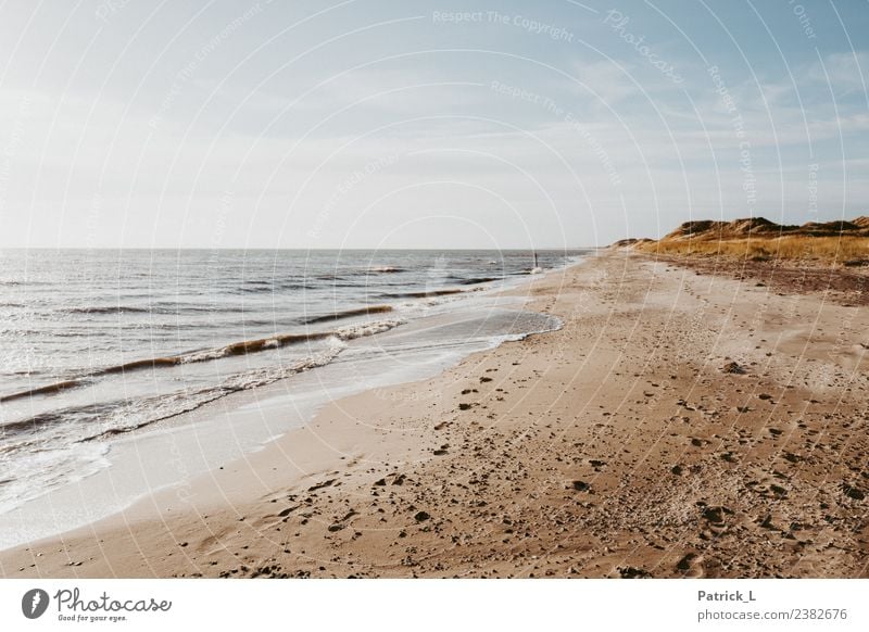 Strandspaziergang Ferien & Urlaub & Reisen Tourismus Abenteuer Sommerurlaub Sonne Meer Wellen Pflanze Sand Luft Wasser Himmel Wetter Schönes Wetter Küste Ostsee