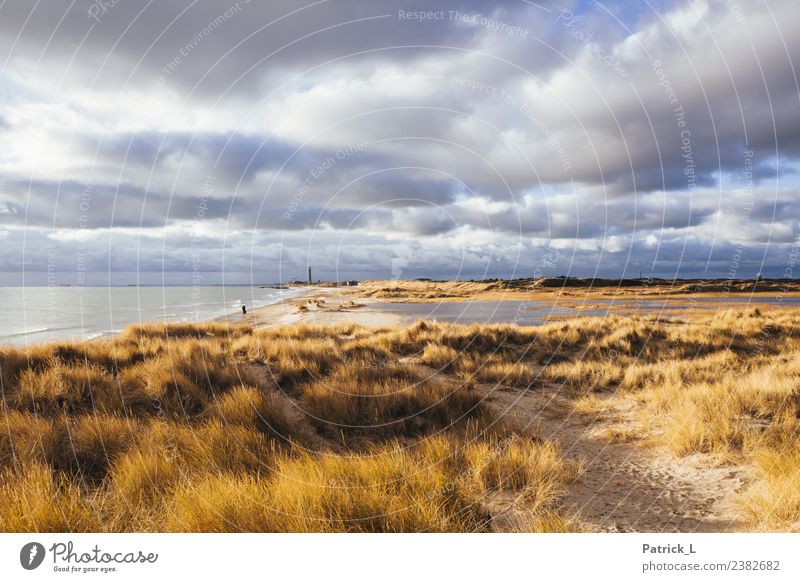 Skagen Grenen Ferien & Urlaub & Reisen Tourismus Ausflug Abenteuer Ferne Freiheit Expedition Strand Meer Wellen wandern Feierabend 1 Mensch Landschaft Sand