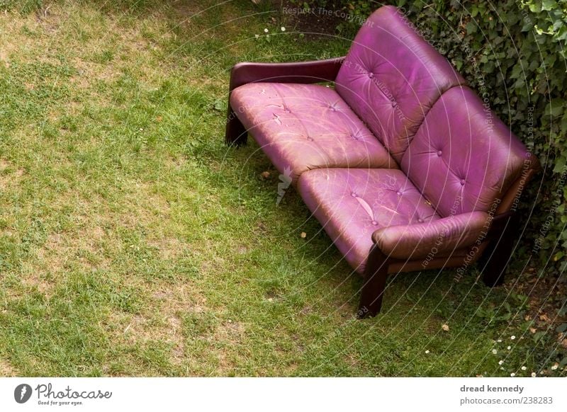 Sofa Rechts Leben Erholung ruhig Freiheit Sommer Garten Möbel Stuhl Wohnzimmer Feste & Feiern Freundschaft Natur Gras Wiese Platz Terrasse Leder sitzen