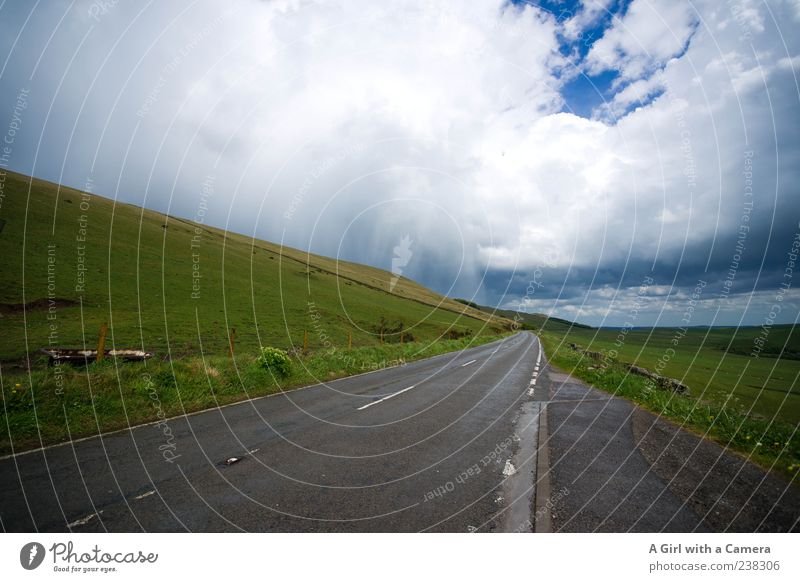 somethings brewing on the horizon Umwelt Natur Landschaft Pflanze Himmel Wolken Gewitterwolken Frühling Sommer Klima Wetter schlechtes Wetter Unwetter Sturm