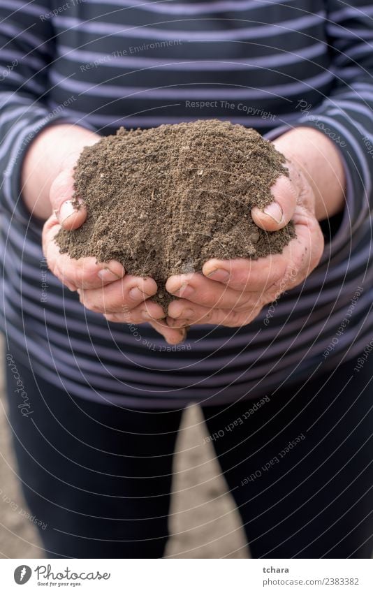 Das ist das Leben. sparen Freizeit & Hobby Gartenarbeit Landwirtschaft Forstwirtschaft Mensch Frau Erwachsene 60 und älter Senior Umwelt Frühling Klima