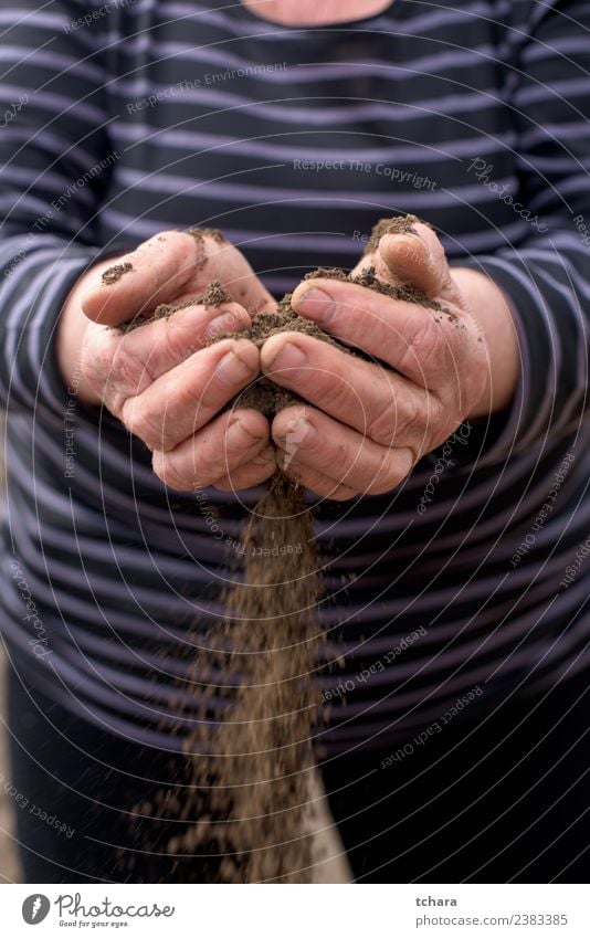 Reiner Boden Garten Arbeit & Erwerbstätigkeit Gartenarbeit Mensch Frau Erwachsene Mann Hand Finger Umwelt Natur Erde Sand Wachstum dreckig nass natürlich braun