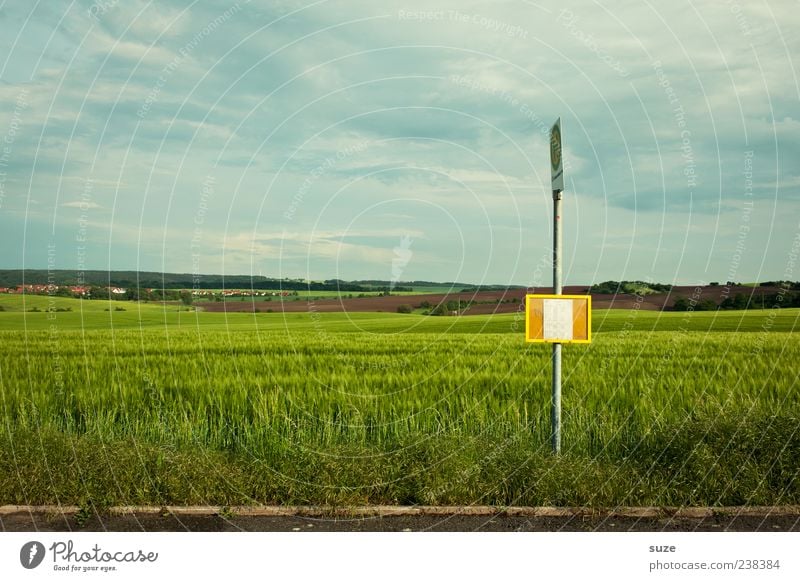 Zwischenstopp *200* Umwelt Natur Landschaft Himmel Klima Wetter Schönes Wetter Wiese Feld Verkehr Verkehrswege Personenverkehr Straße Landstraße