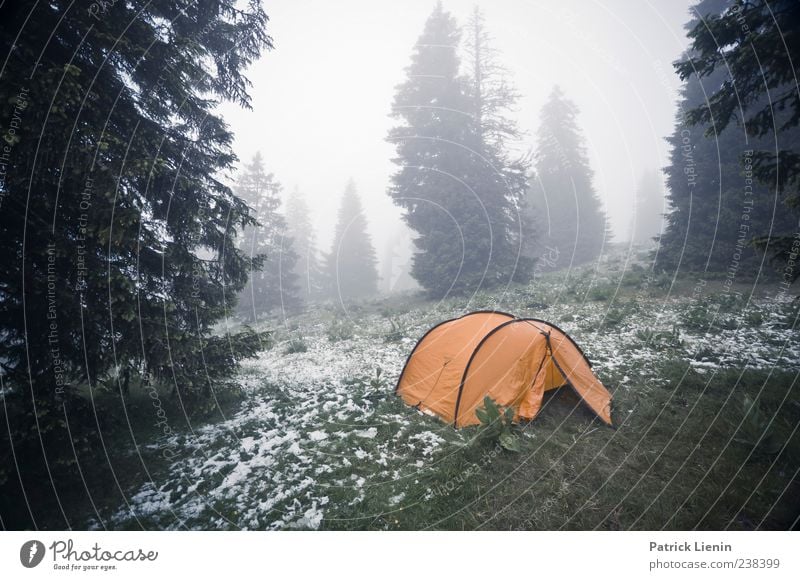 Step outside in the morning Ferien & Urlaub & Reisen Camping Berge u. Gebirge Umwelt Natur Landschaft Pflanze Urelemente Wolken Klima Wetter schlechtes Wetter