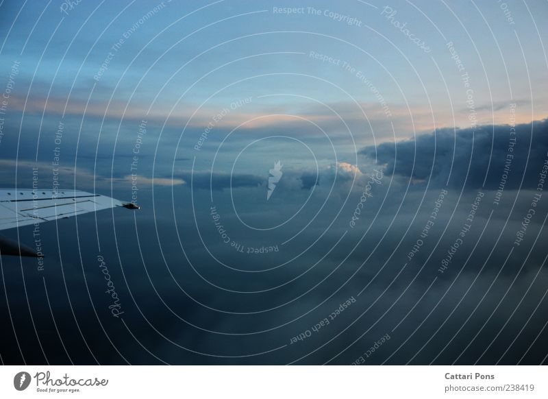 höhere Ebene Ferien & Urlaub & Reisen Ausflug Himmel Wolken Horizont fliegen leuchten gigantisch Luftverkehr Flugzeug Tragfläche Tragflächenspitze oben Licht