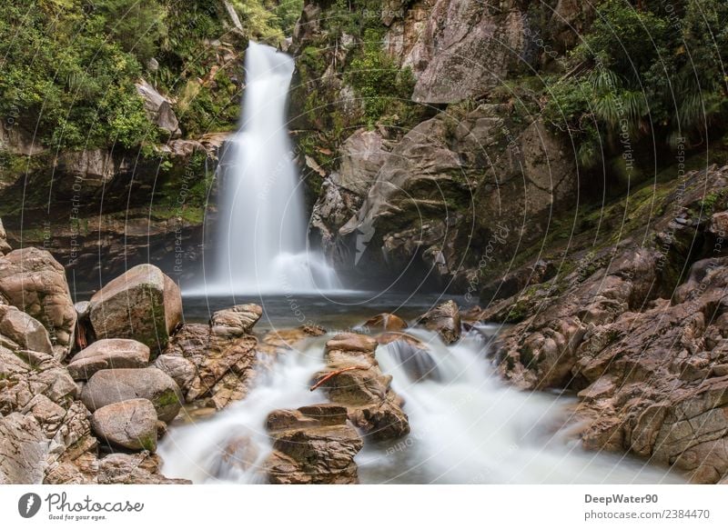 The power of water Umwelt Natur Landschaft Pflanze Urelemente Erde Sand Luft Wasser Sommer Schönes Wetter Baum Gras Sträucher Moos Grünpflanze Wildpflanze Wald