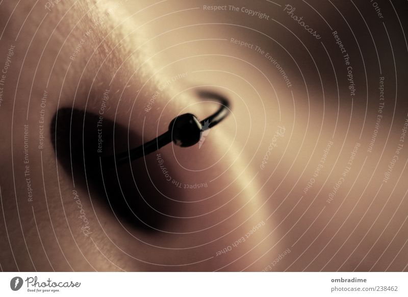 Nasenring Piercing ästhetisch authentisch nah Einblick Ring Loch Nasenloch Farbfoto Gedeckte Farben Innenaufnahme Detailaufnahme Makroaufnahme