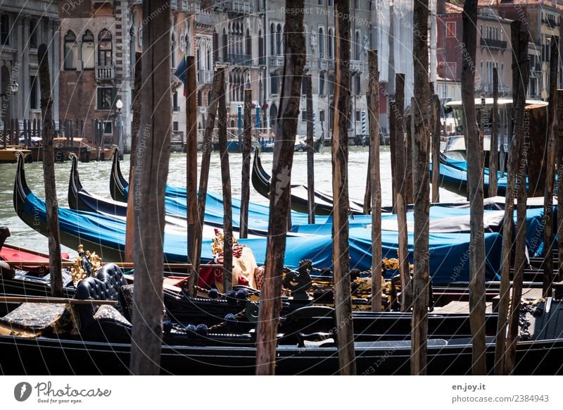 Durchblick Ferien & Urlaub & Reisen Tourismus Ausflug Sightseeing Städtereise Sommer Sommerurlaub Kanal Wasserstraße Canal Grande Venedig Italien Stadt