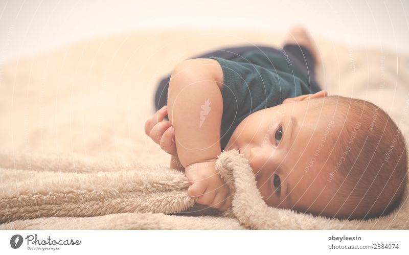 Porträt eines kriechenden Babys auf dem Bett in seinem Zimmer Glück schön Gesicht Bad Kind Mensch Kleinkind Junge Frau Erwachsene Kindheit Spielzeug Lächeln