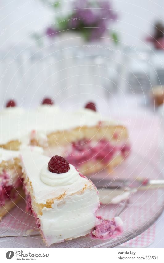 Himbeerkuchen Lebensmittel Milcherzeugnisse Frucht Kuchen Dessert Ernährung Feste & Feiern Himbeeren Sahne Tortenheber Sahnetorte Dickmacher lecker